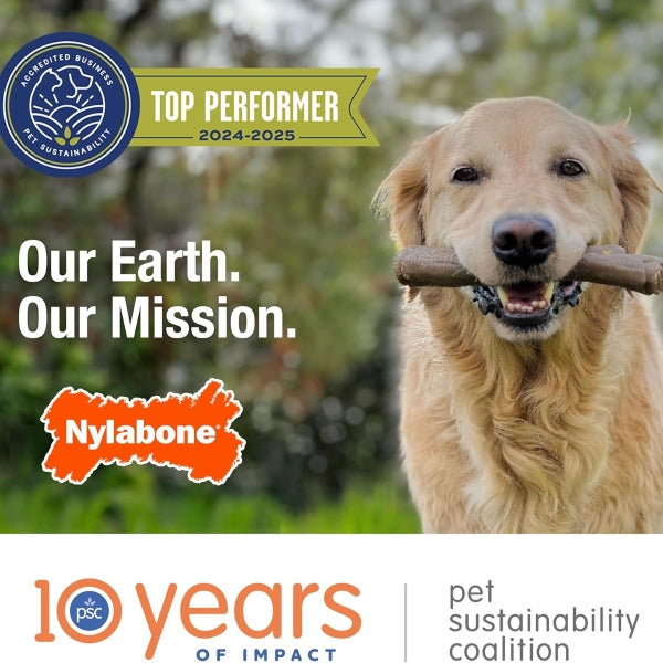 Nylabone, Puppy Chew Bone and Dental Care Toy for Teething Puppies