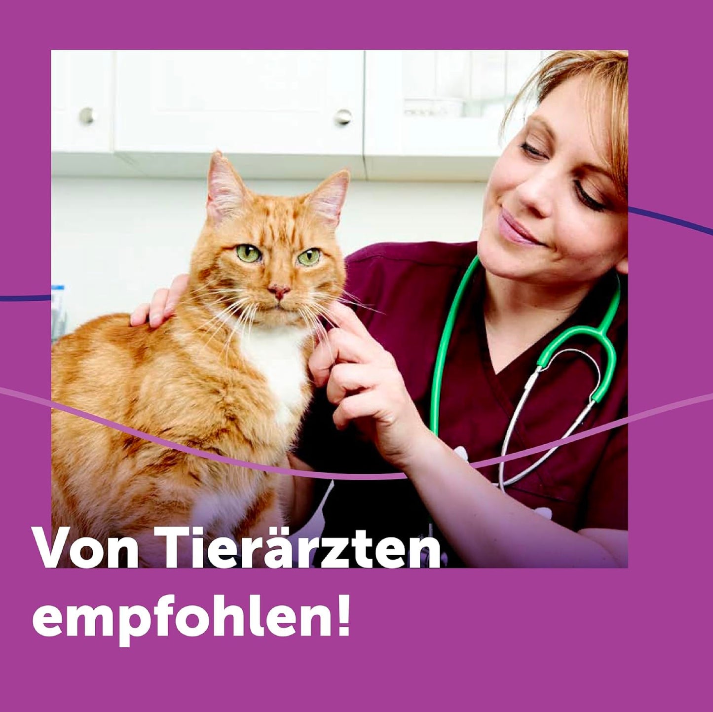 Feliway Classic Starter Set