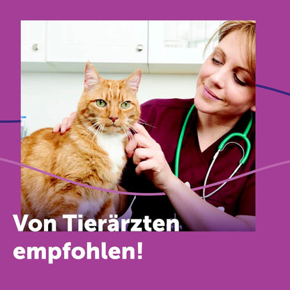 Feliway Classic Starter Set