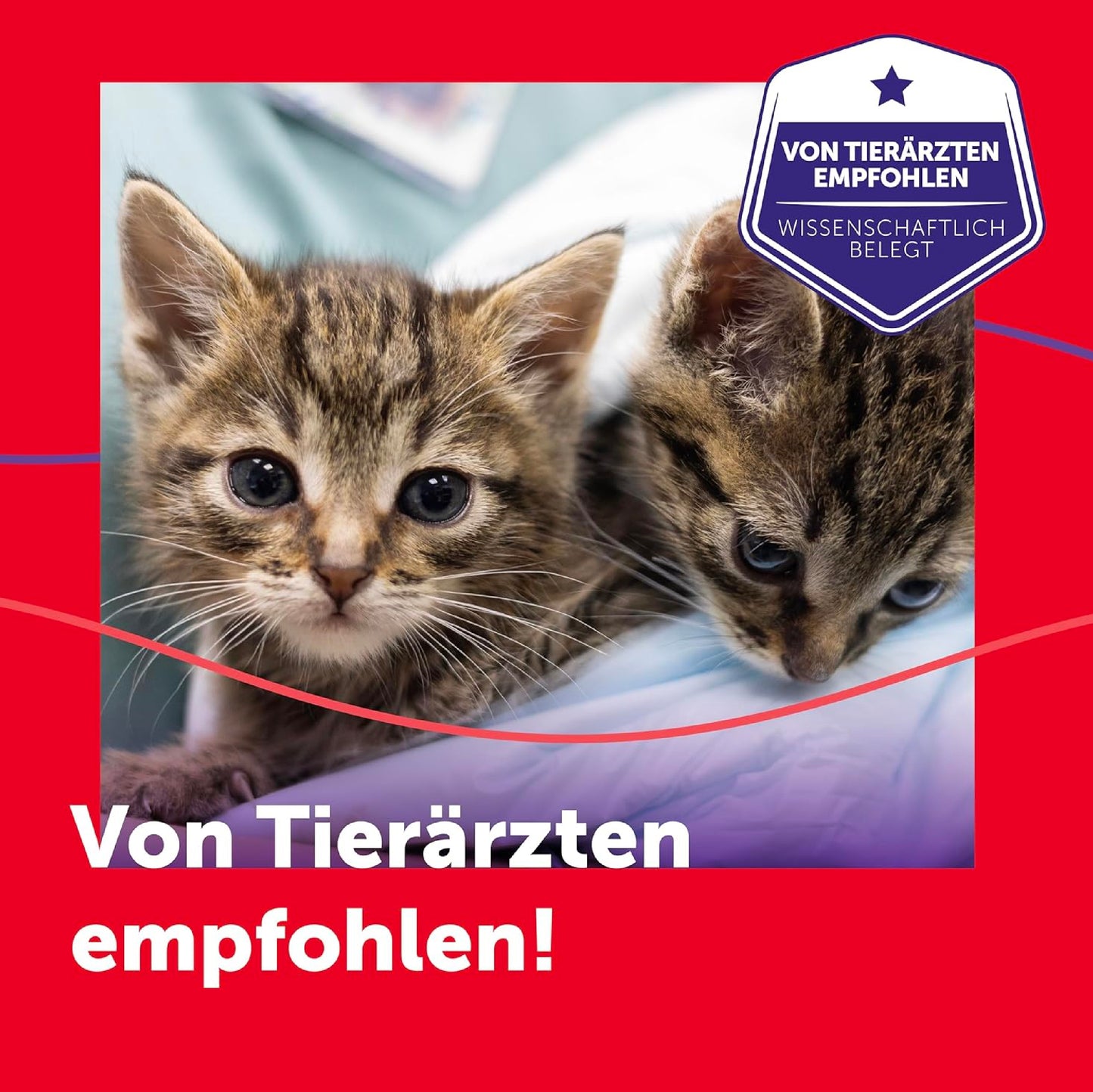 Feliway Friends Happy Cats Starter Set