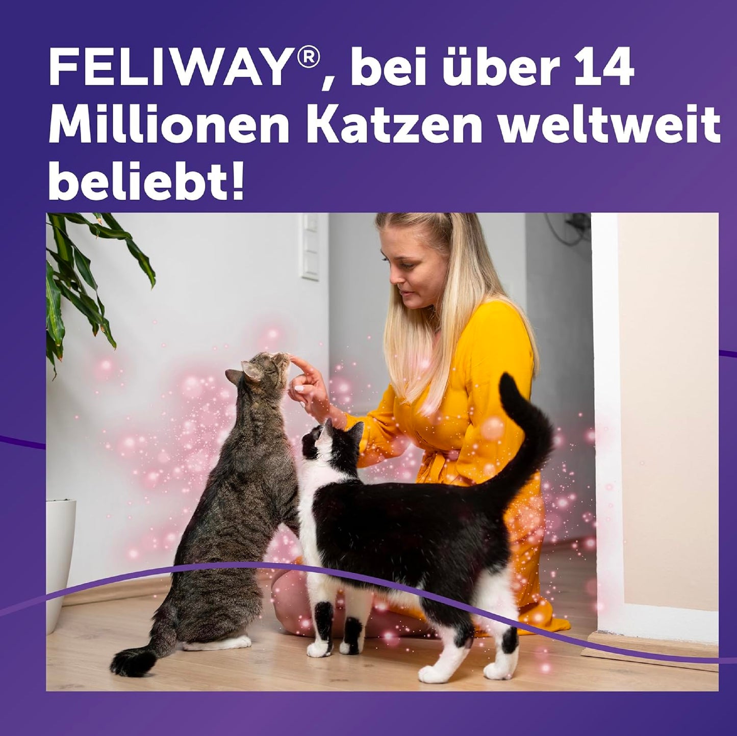 Feliway Friends Happy Cats Starter Set