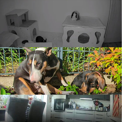 PetTec CCTV Camera Full HD 360° WiFi Night Vision Automatic Noise Detection