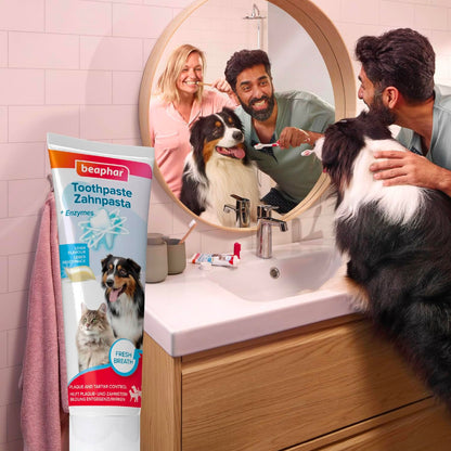 Beaphar Toothpaste for Dogs and Cats, Protects against Plaque