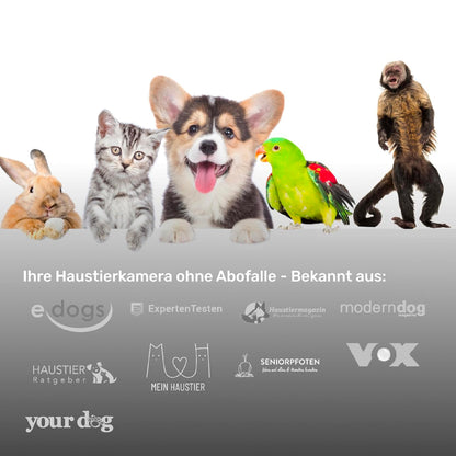 PetTec CCTV Camera Full HD 360° WiFi Night Vision Automatic Noise Detection