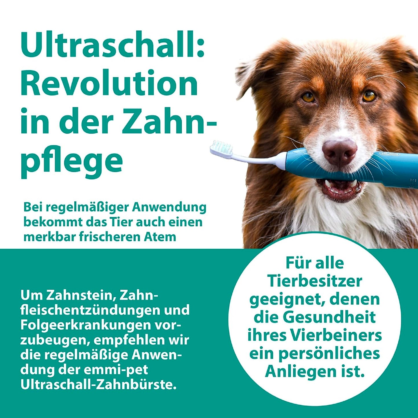 Emmi-pet Dog Toothpaste for Ultrasonic Toothbrush