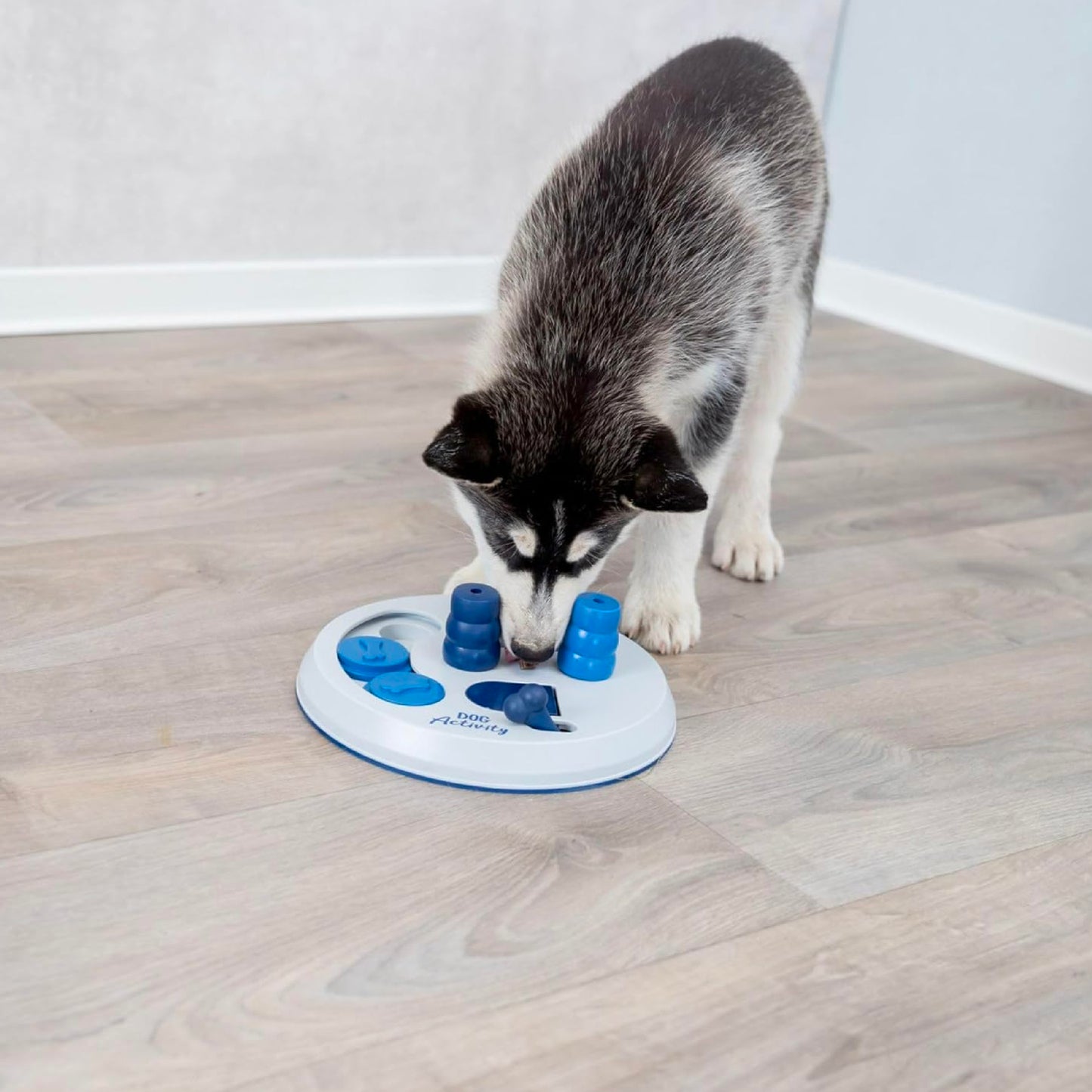 Trixie Dog Activity Strategy Game, assorted colours