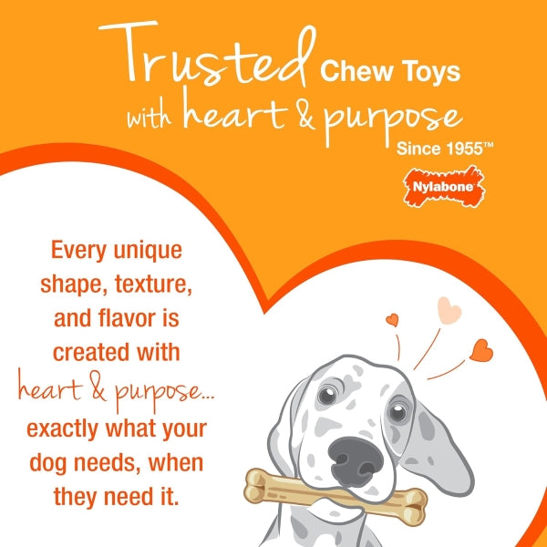 Nylabone, Puppy Chew Bone and Dental Care Toy for Teething Puppies