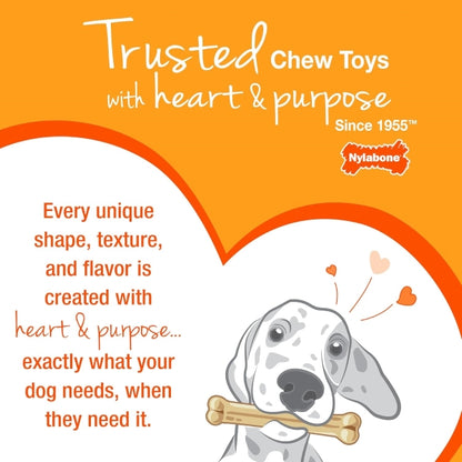 Nylabone, Puppy Chew Bone and Dental Care Toy for Teething Puppies