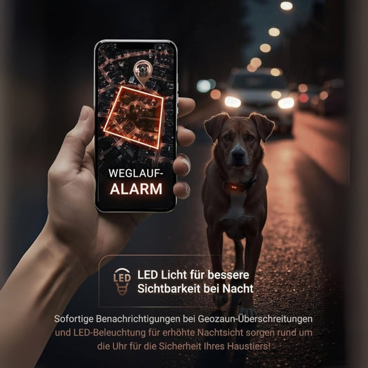 PAJ GPS Tracker for dogs - 4G - walking alarms