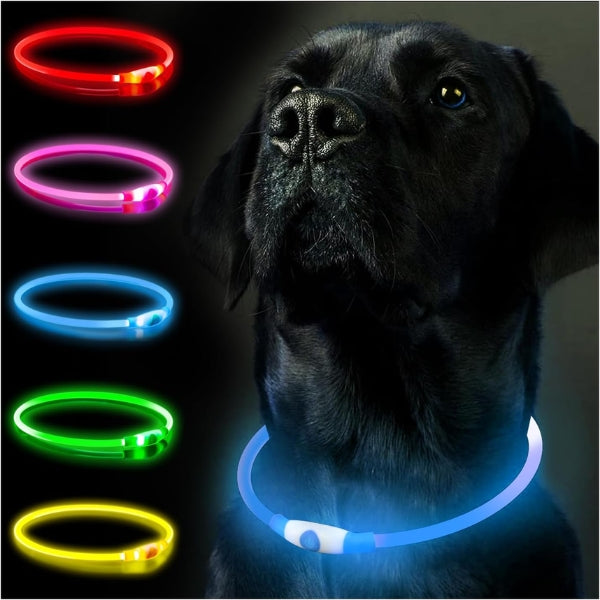 SerDa-Run Luminous Dog Collar, Rechargeable LED Collar for Dogs, Light Strip