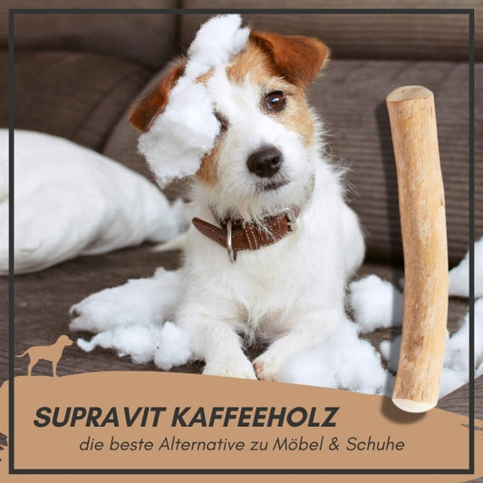Supravit Natural Coffee Wood Chew Bone