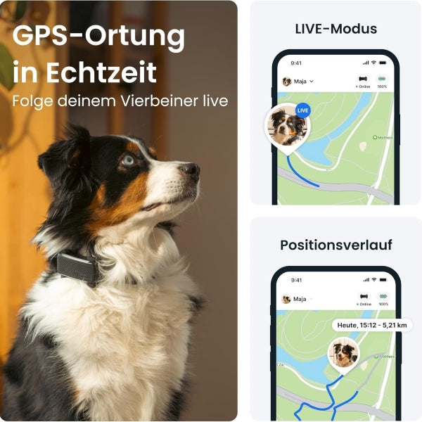 Tractive GPS Tracker Dog 2025 Edition Live Tracking Away Alarm