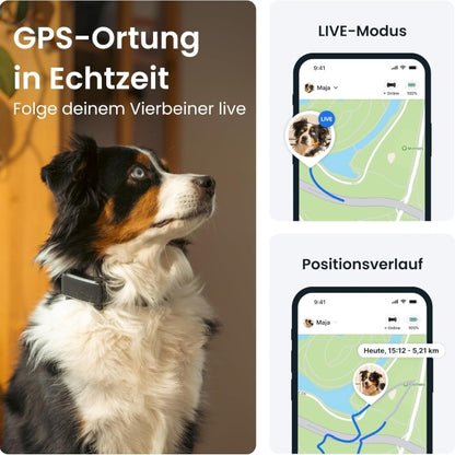 Tractive GPS Tracker Dog 2025 Edition Live Tracking Away Alarm