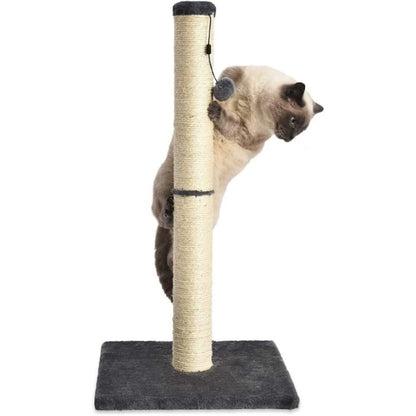 Basics Medium Cat Scratching Post