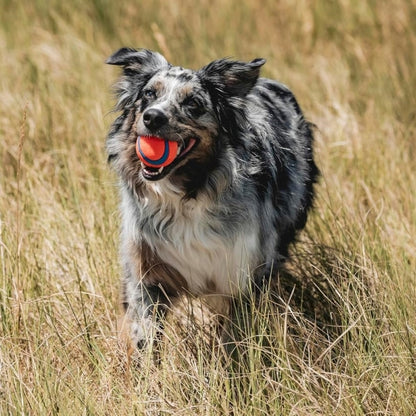 Chuckit! Ultra Ball Medium