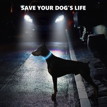 SerDa-Run Luminous Dog Collar, Rechargeable LED Collar for Dogs, Light Strip