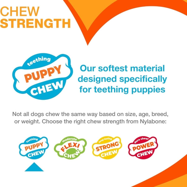 Nylabone, Puppy Chew Bone and Dental Care Toy for Teething Puppies
