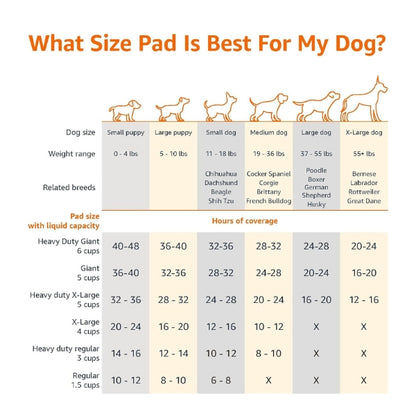 Basics Training Pads for Dogs