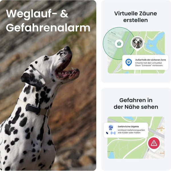 Tractive GPS Tracker Dog 2025 Edition Live Tracking Away Alarm