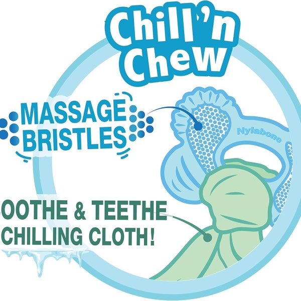 Nylabone, Puppy Chew Bone and Dental Care Toy for Teething Puppies