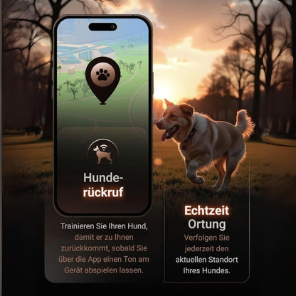 PAJ GPS Tracker for dogs - 4G - walking alarms