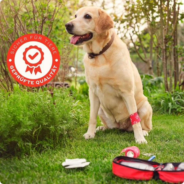 PURAHELP® First Aid Kit for Dogs and Cats [51 Pieces]