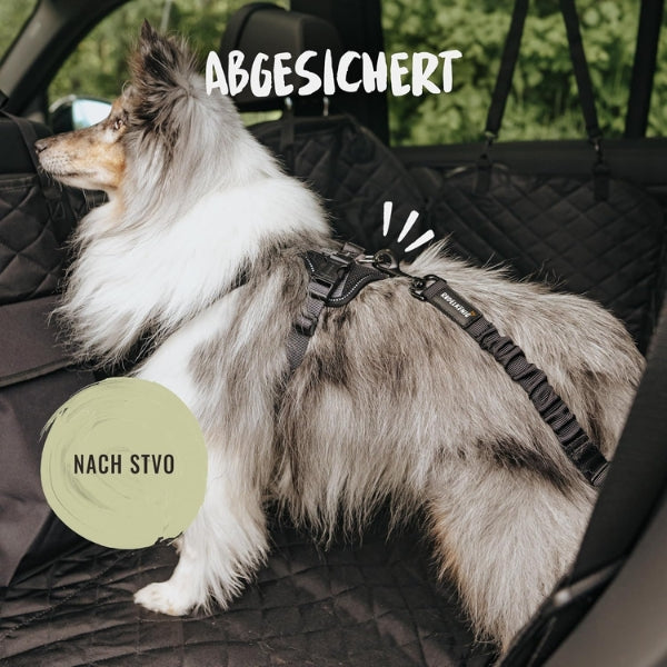 Rudelkönig Dog Car Seat Belt - Elastic Seat Belt - Fully Adjustable