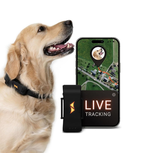 PAJ GPS Tracker for dogs - 4G - walking alarms