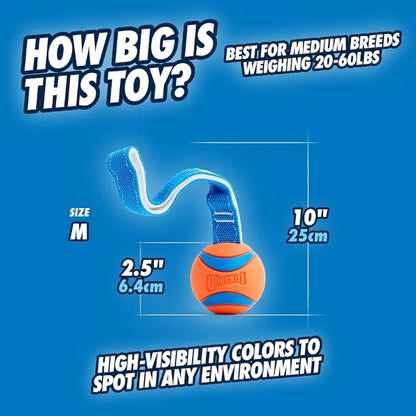 Chuckit Ultra Tug Dog Toy, Medium, 6 cm