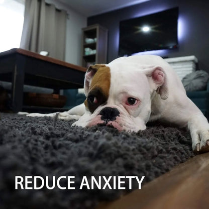 Toozey Puppy Toys - 7 Pieces Durable Dog Toys for Puppies / Small Dogs