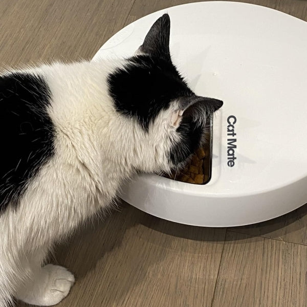 PetMate 80889 Cat Mate C500 Automatic Feeder for 5 Meals