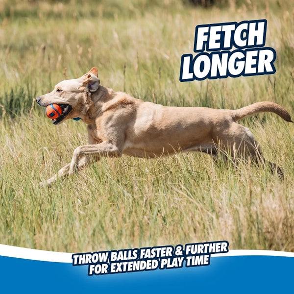 Chuckit Ultra Tug Dog Toy, Medium, 6 cm